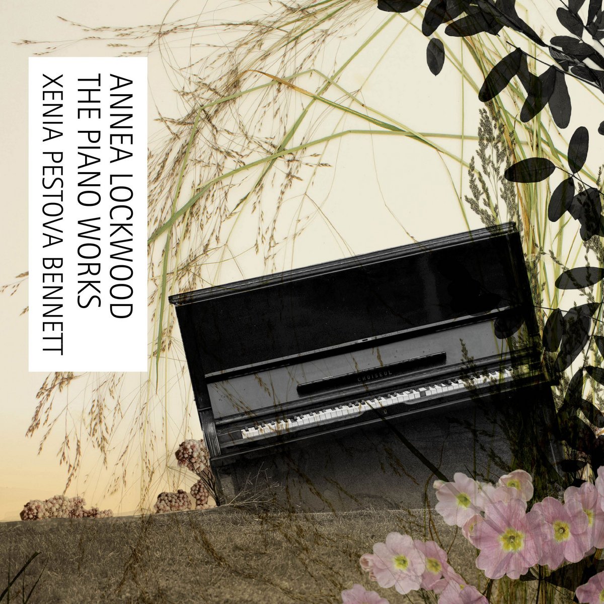 Annea Lockwood – The Piano Works