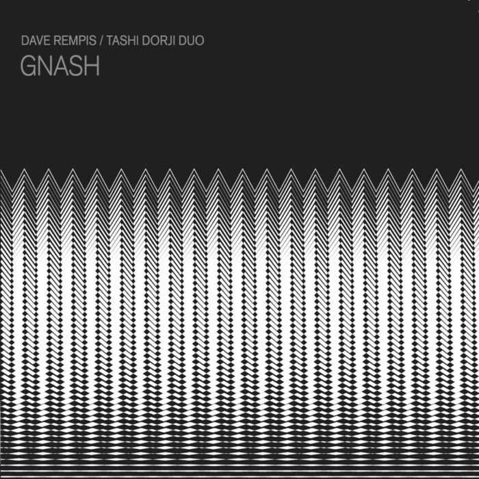 Album: Gnash by Dave Rempis / Tashi Dorji Duo
