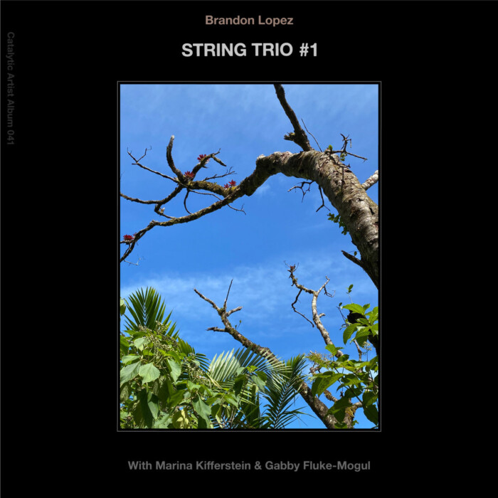 Album: String Trio #1 [CAA-041]